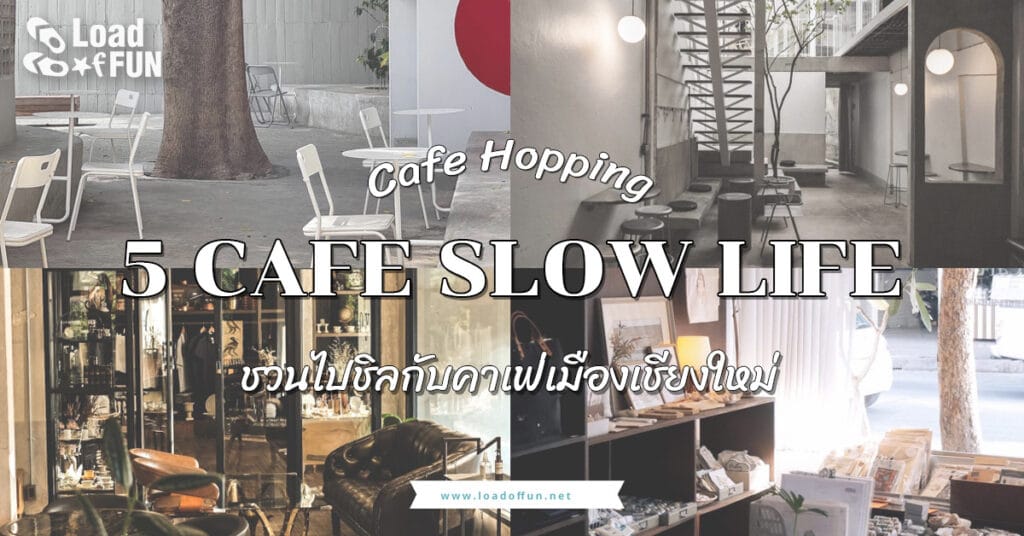 จุดเช็คอิน คาเฟ่ 5 Café Slow Life คาเฟ่เชียงใหม่